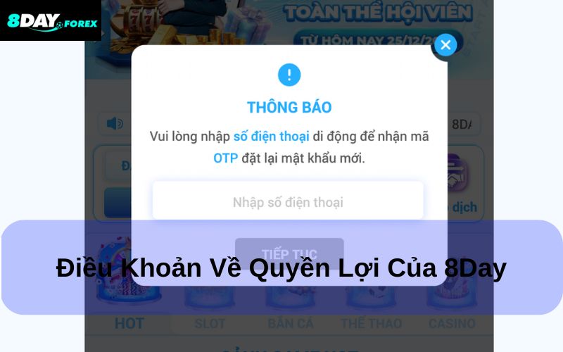 Điều khoản sử dụng 8Day về quyền lợi website