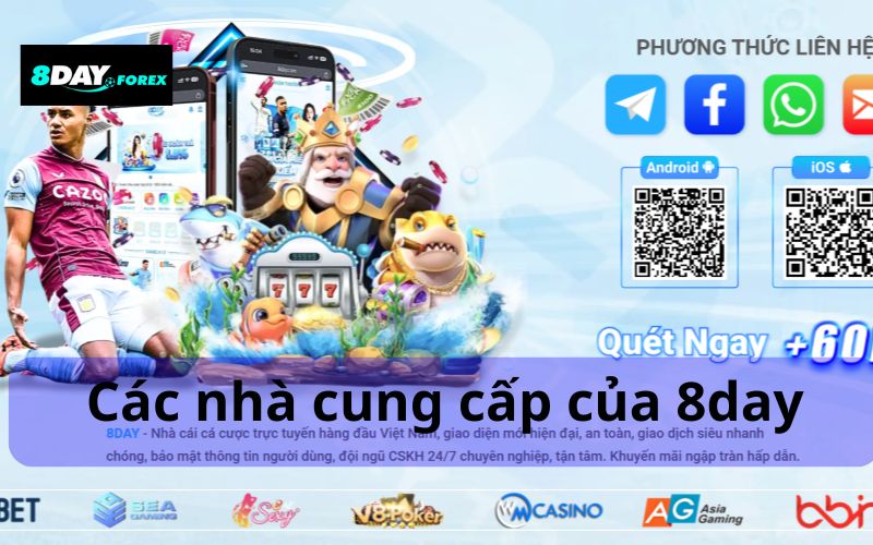 Các nhà cung cấp của 8day